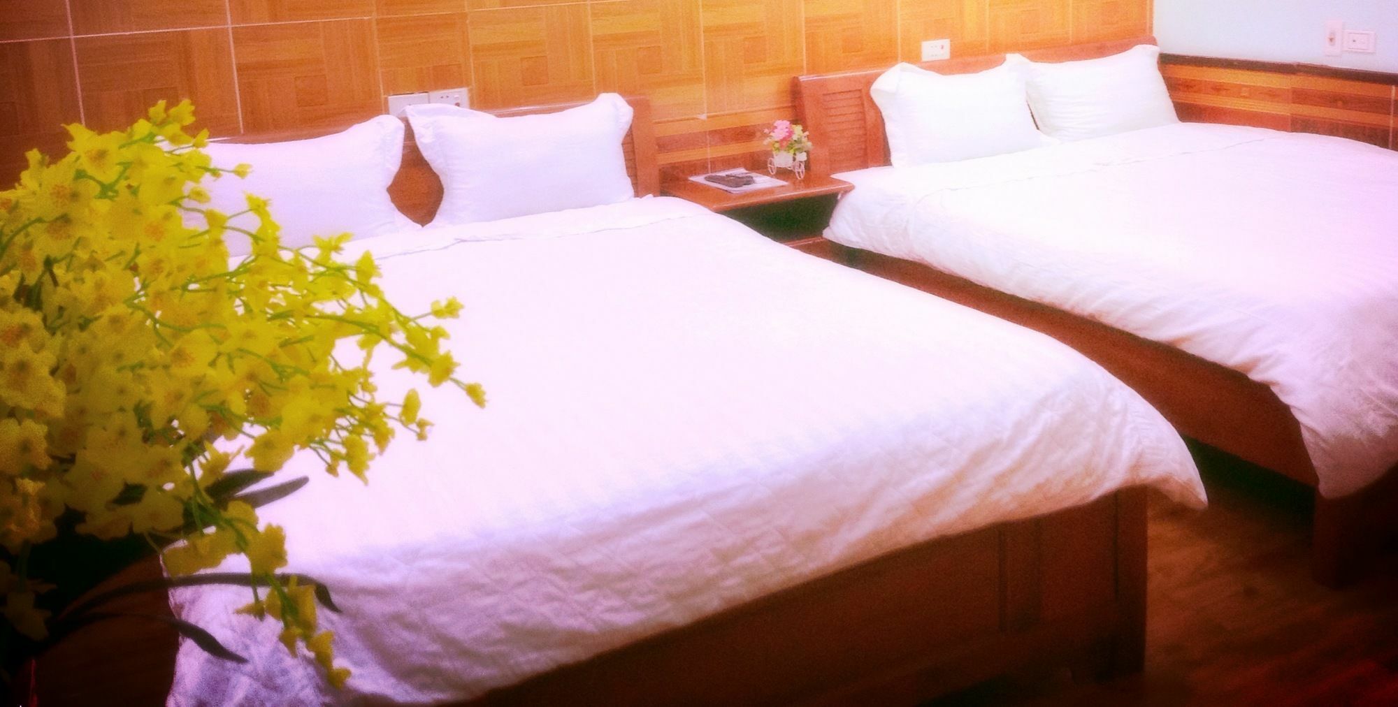 Noi Bai Family Homestay Kültér fotó